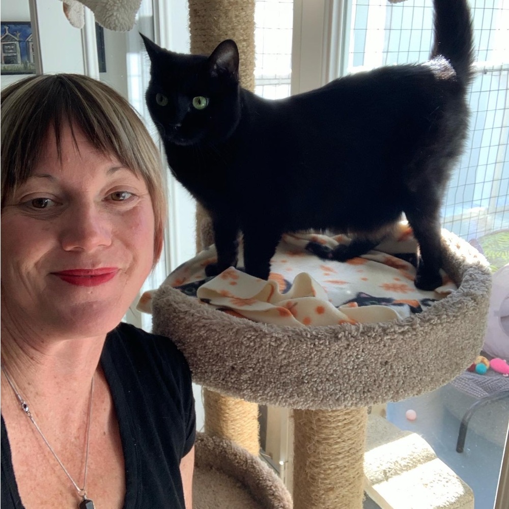 Meet your Posher, Sarah